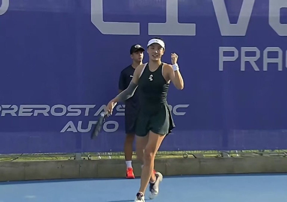 他们在近几 他们在近几